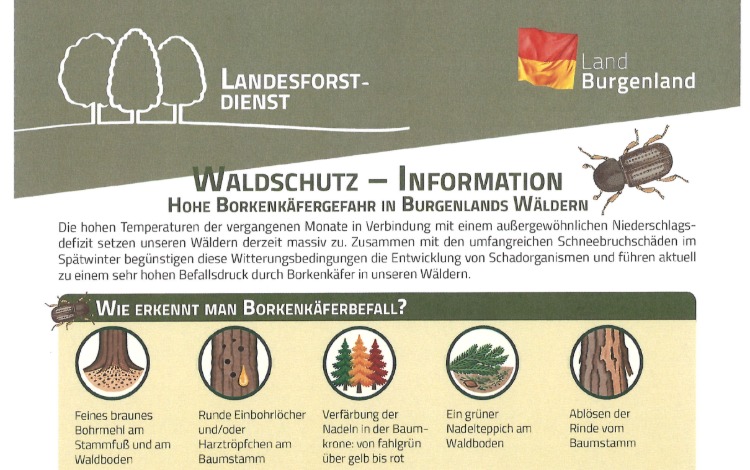 Waldschutz - Information/Hohe Borkenkäfergefahr in Burgenlands Wäldern