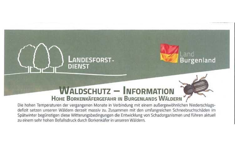 Borkenkäfer-Gefahr in Burgenlands Wäldern, Landesforstdienst, Land Burgenland