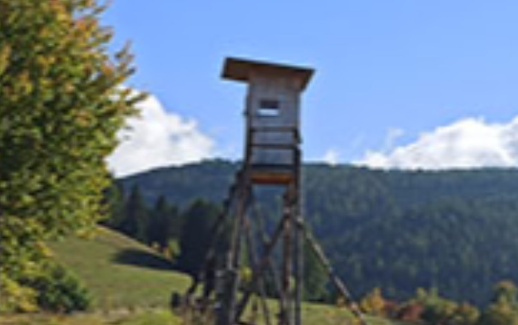 Gemeinde St. Marein-Feistritz
