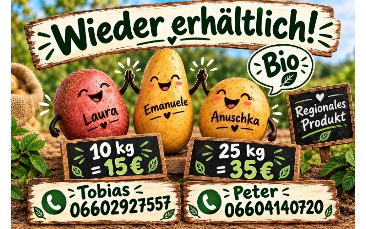 Regionale Kartoffel ab sofort erhältlich