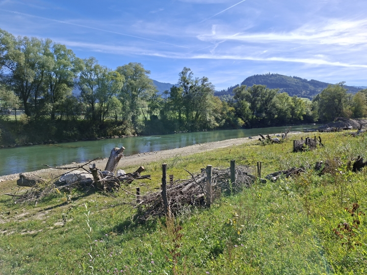 Renaturierung der Enns_26 (c) Franz Leitner