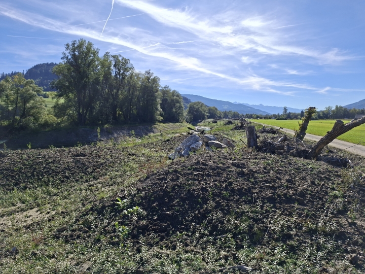 Renaturierung der Enns_16 (c) Franz Leitner