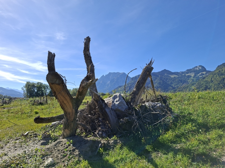 Renaturierung der Enns_30 (c) Franz Leitner