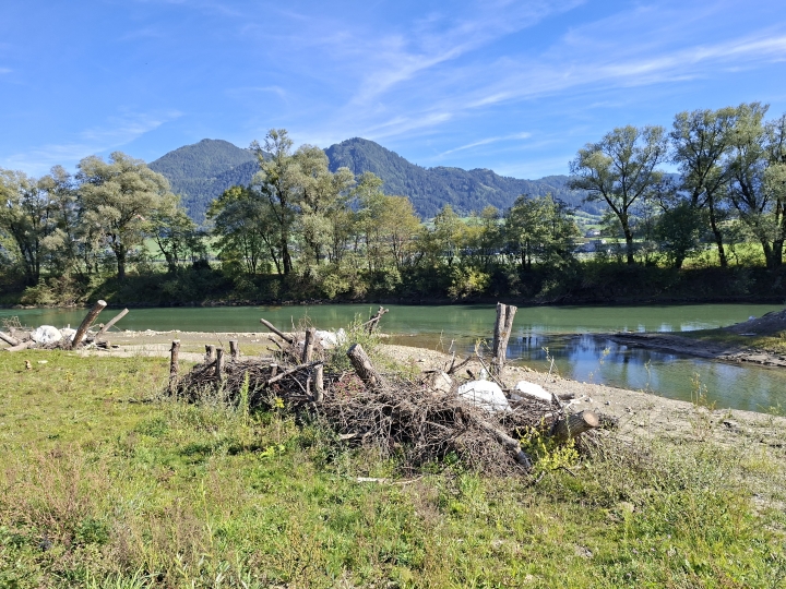 Renaturierung der Enns_22 (c) Franz Leitner