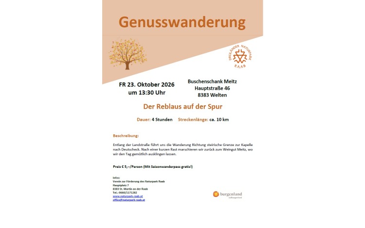 Der Reblaus auf der Spur