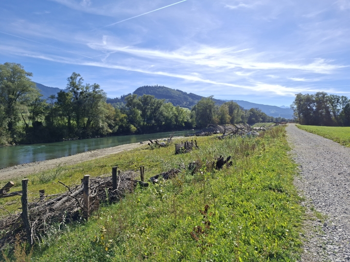 Renaturierung der Enns_27 (c) Franz Leitner