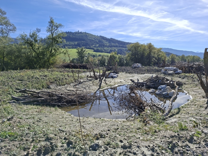 Renaturierung der Enns_9 (c) Franz Leitner