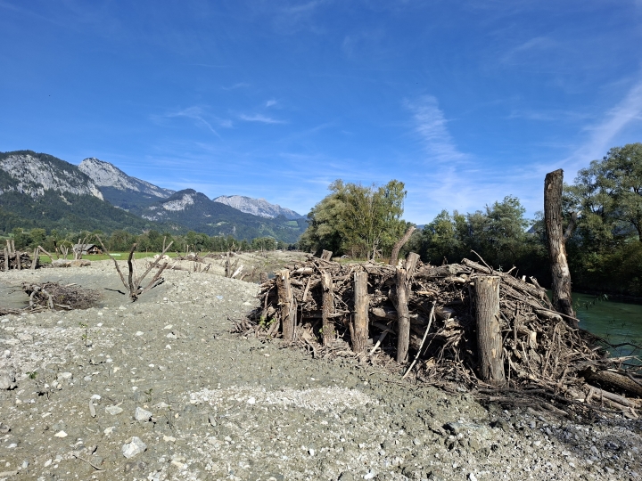 Renaturierung der Enns_3 (c) Franz Leitner