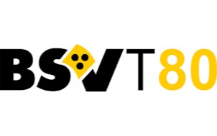 Woche des Sehens - BSVT Bezirkstag
