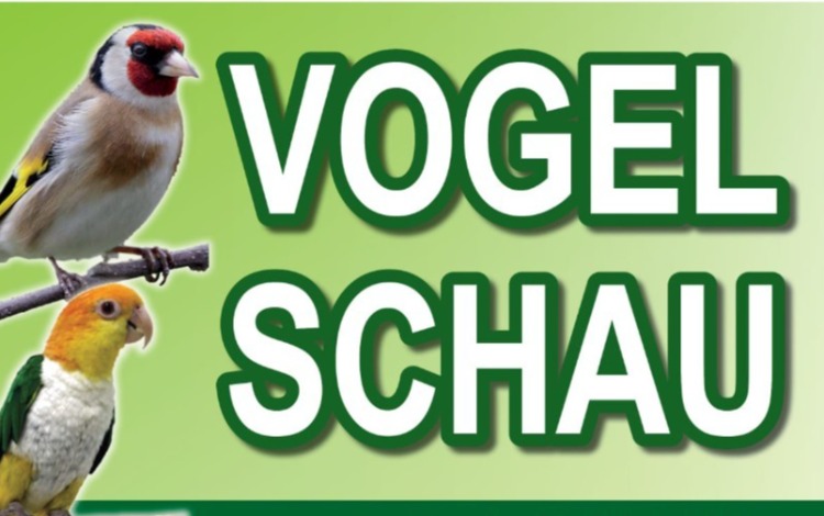 Vereinsschau 2026