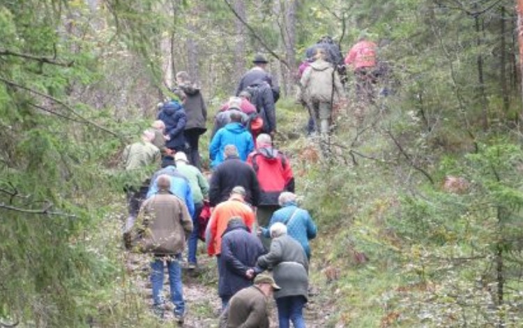 Geologische Wanderung im Grenzgebiet Wildon/Hengsberg
