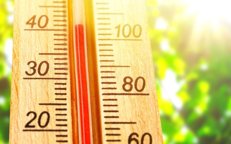 39 Grad im Schatten – ein hitziges Theaterstück